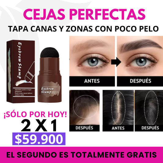 PROMO 2 X 1 SELLO RELLENADOR DE CEJAS, CABELLO Y CANAS✨